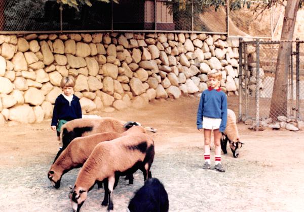 1985_12_Petting Zoo and Soccer