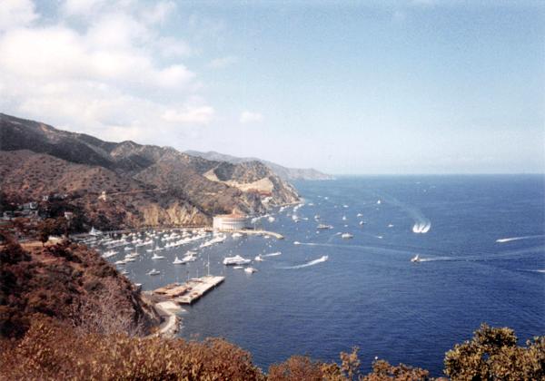 1987-11_Catalina and Halloween_01-30