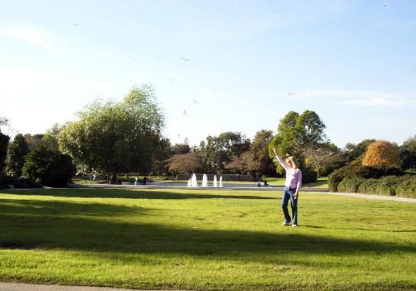 Arboretum at Christmas 2002