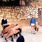 1985 12 Petting Zoo and Soccer 001