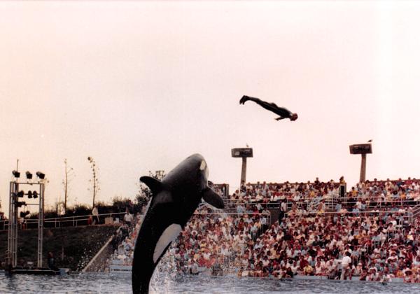 1987_09_Sea World