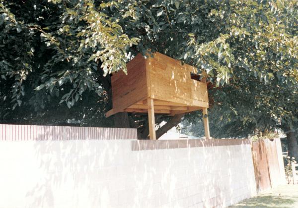 1988-07 Tree House